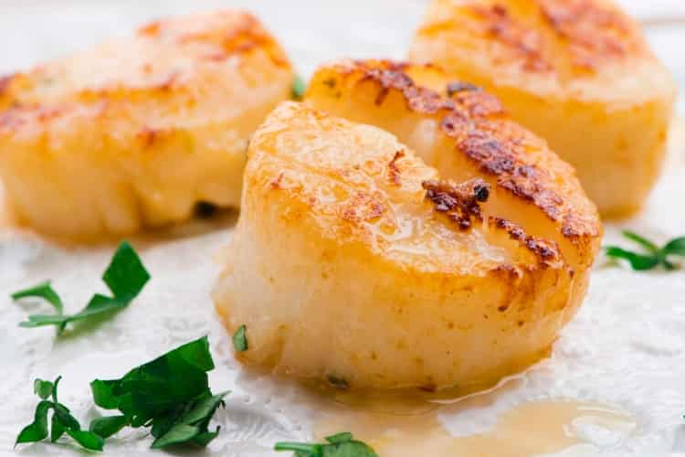 Fresh scallops on a plate