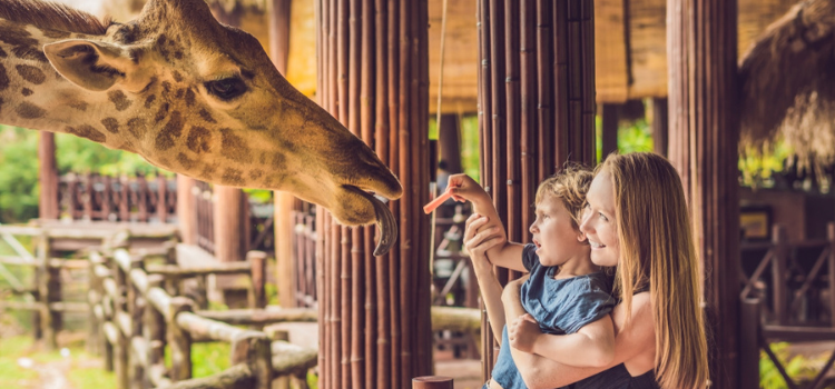 a woman and her child feed a giraffe