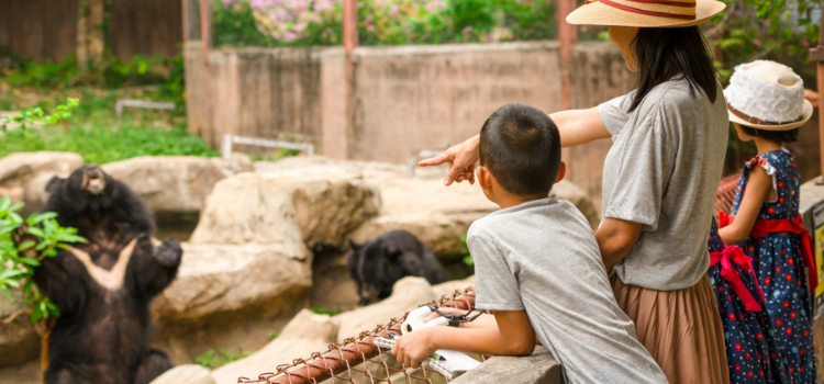 a woman and two children look at a zoo exhibit